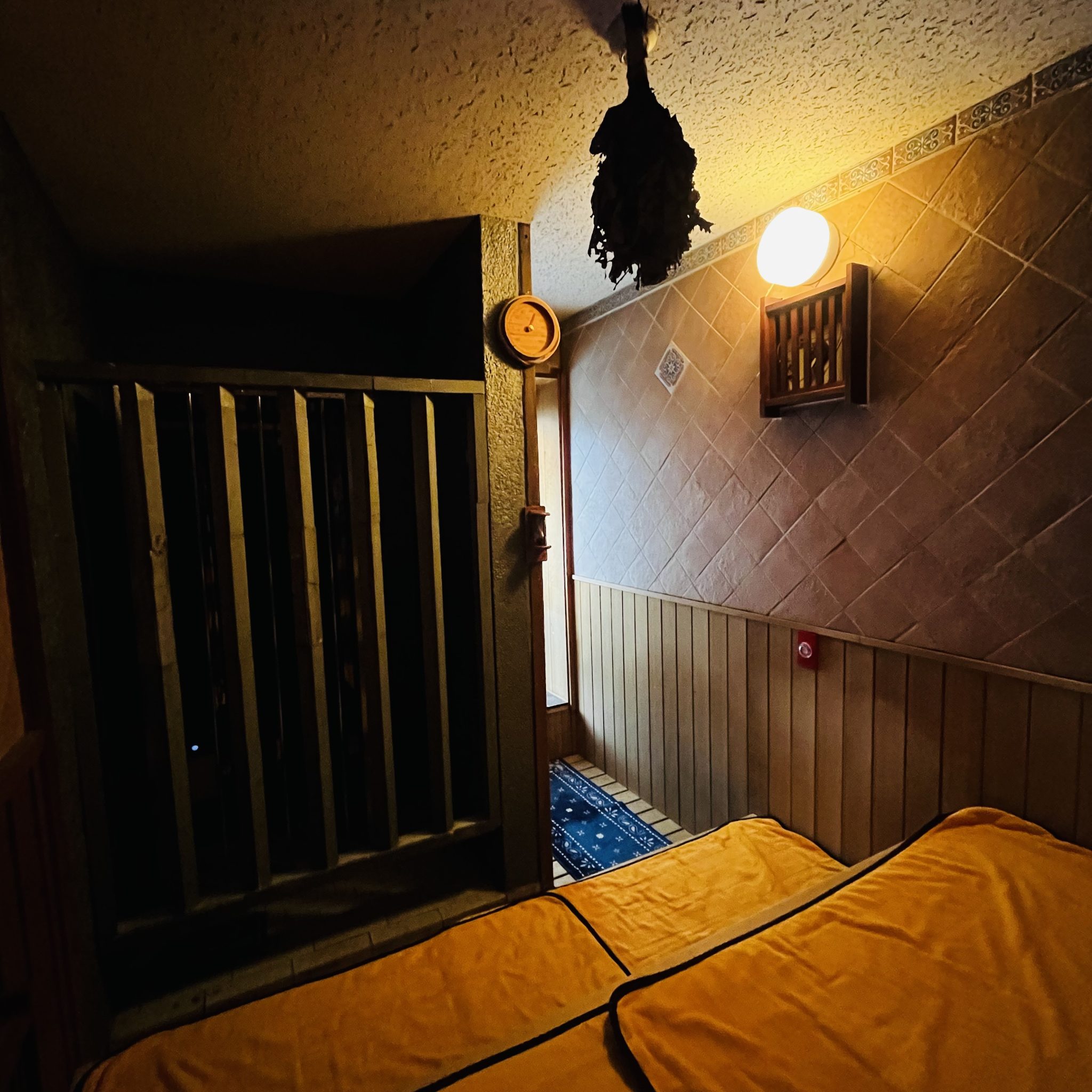 辰巳湯 Sauna